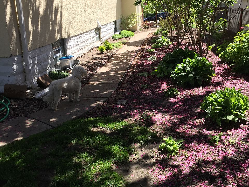 2nd image of 5322 39th Ave S