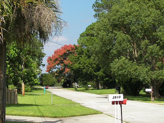 TREE LINED STREET