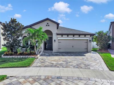 13114 Foxtail Fern Dr, Riverview, FL, 33579