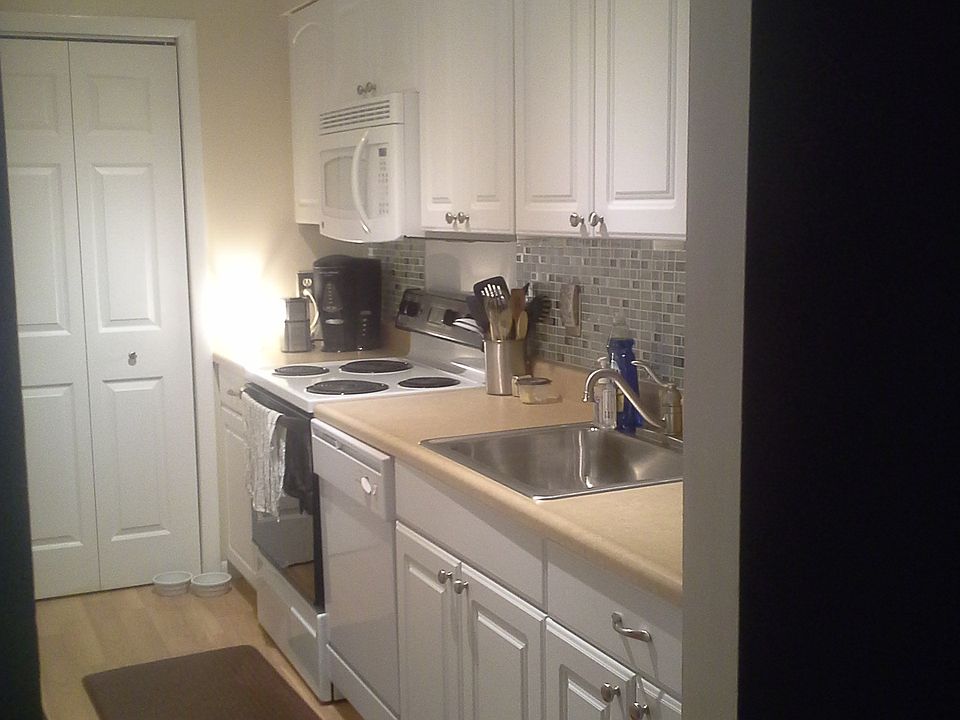 Newly renovated kitchen