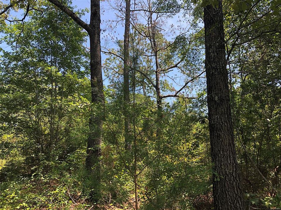 2nd image of 0 County Road 57 Rd