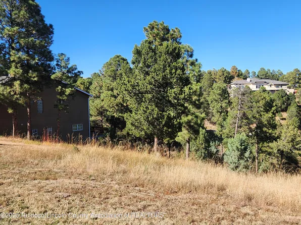 184 Doe Ct, Alto, NM 88312