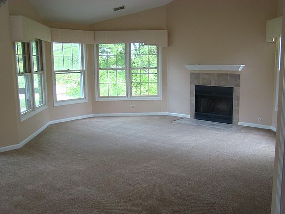 Fireplace- Living Room (Empty)