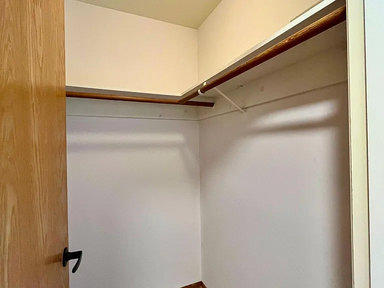 Walk-in Hall Closet