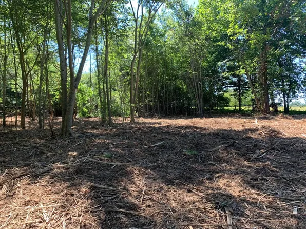 5 Mullins Rd, Luray, TN 38352