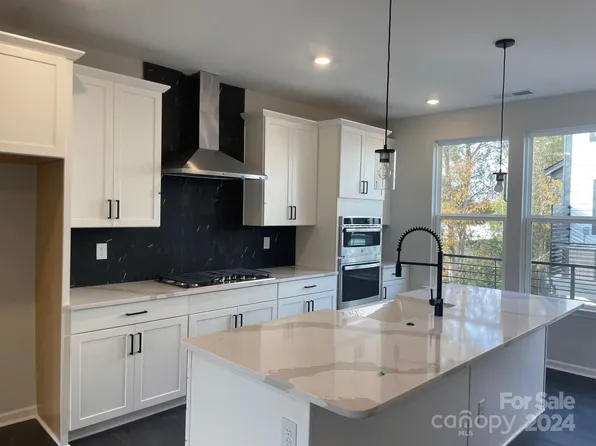 424 Catawba Ave, Davidson, NC 28036