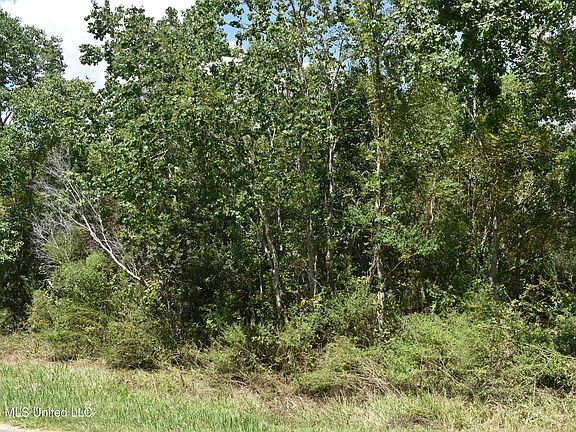5th image of 10018 E Bayou Rd