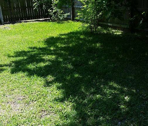 4th image of 1405 Wayside Dr