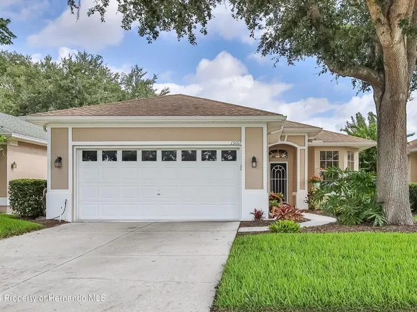 15017 Tamarind Loop, Spring Hill, FL 34609