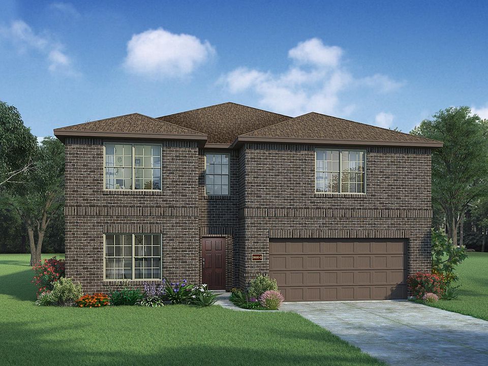 Boxwood with Elevation G