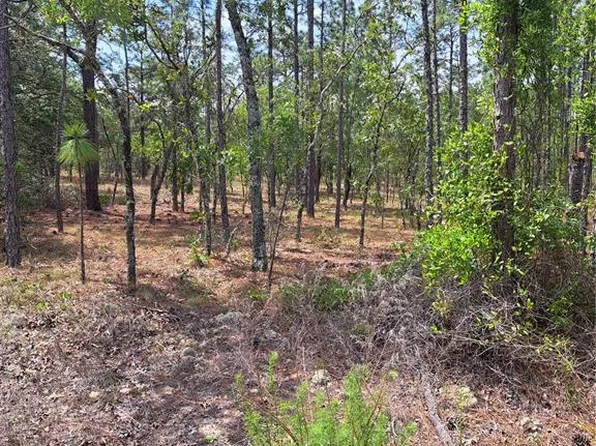 NW Hemlock Ave, Dunnellon, FL 34431