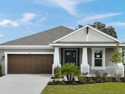 3206 Lumber Falls Dr, Plant City, FL, 33565