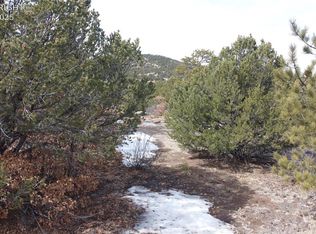 130 Bear Peak Rd, Westcliffe, CO 81252