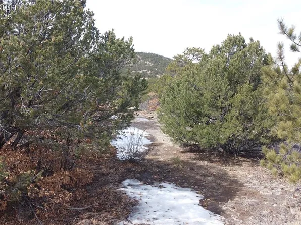 130 Bear Peak Rd, Westcliffe, CO 81252