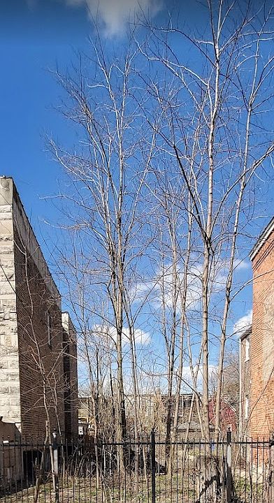 2nd image of 1922 S Christiana Ave