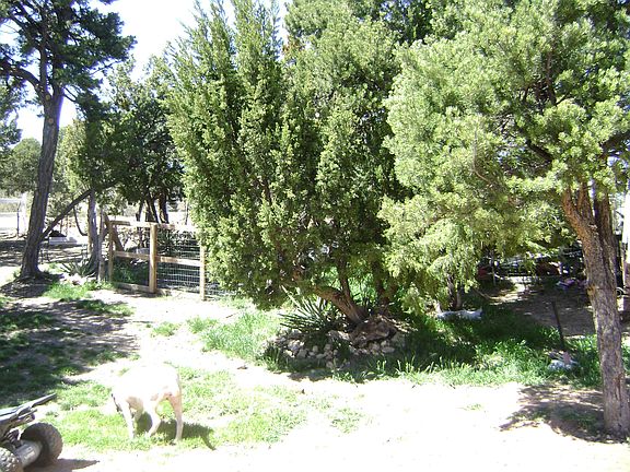 3rd image of 1995 Bradley Ln