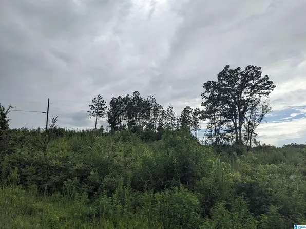 0 Vaughn Rd #0, Trafford, AL 35172
