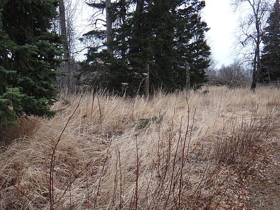 4th image of L18 B4 Nushagak Ct
