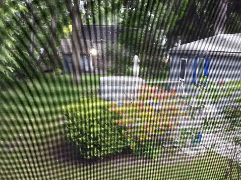2nd image of 177 Moross Ave