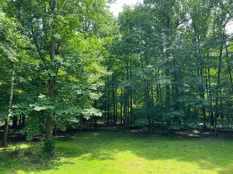 Rear yard