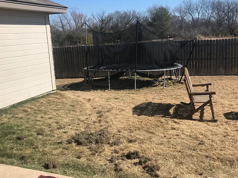 2705 Turning Creek St — Photo 12
