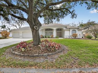 3303 Cummings Pl, Plant City, FL 33566