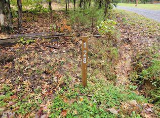 128 Deer Path Way, Parrottsville, TN 37843