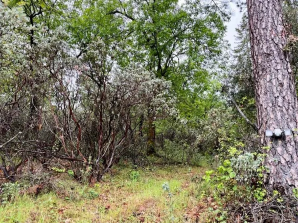 1636-1663 Nickerson Ln, Murphys, CA 95247