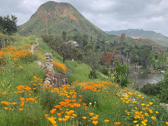 Northern view towards Sugarloaf mountain