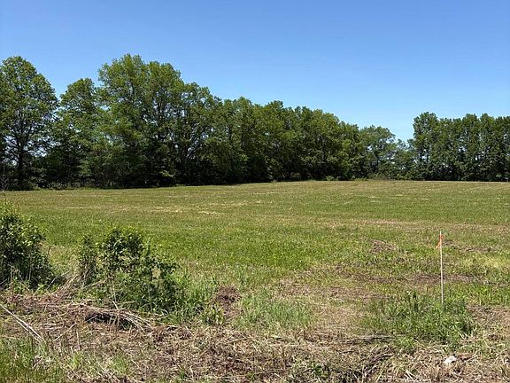 2nd image of 0 County Road 124 #4