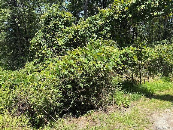 2nd image of 0 Belair Rd