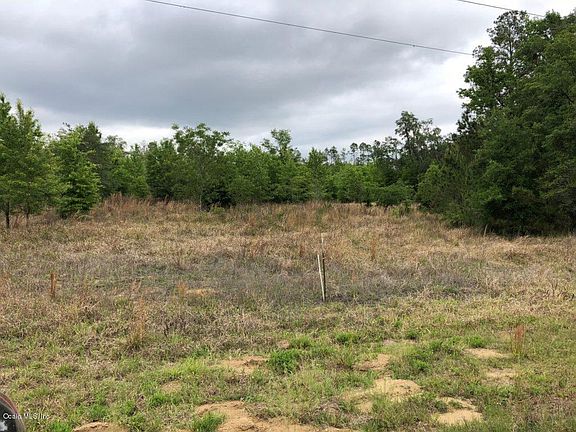 2nd image of 765 W Withlacoochee Trl