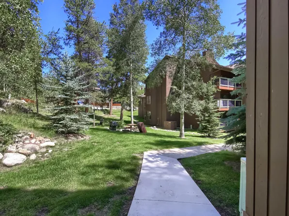 393 Wild Irishman Rd #1057, Dillon, CO 80435