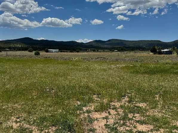 47319 N State Highway 288, Young, AZ 85554