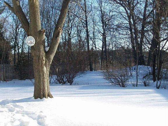 Beautiful Back Yard!