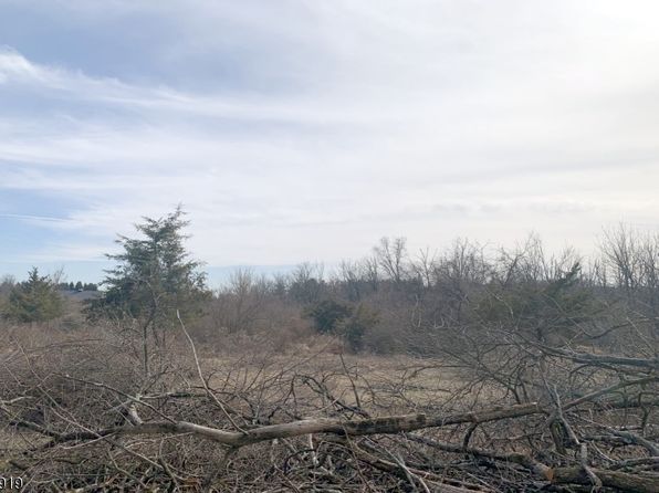 41 Bonetown Rd, Raritan Twp., NJ 08822