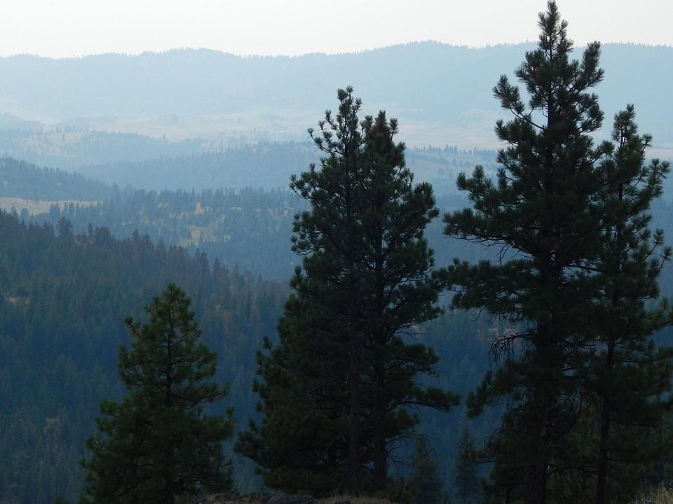 1st image of LOT 37 Castle Rock Dr Lot 37