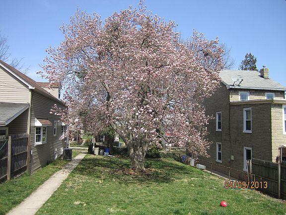 Front Yard view facing E. 6th Ave
