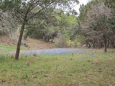 4th image of 350 Bluff Rd