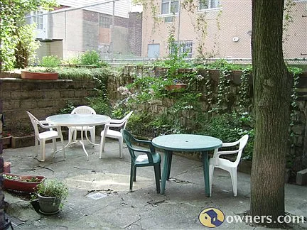 Back yard