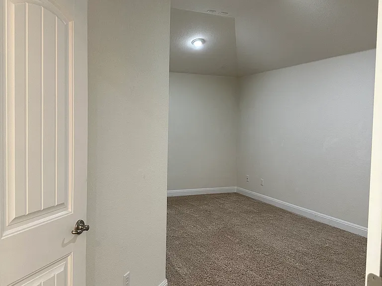 Media/Entertainment room