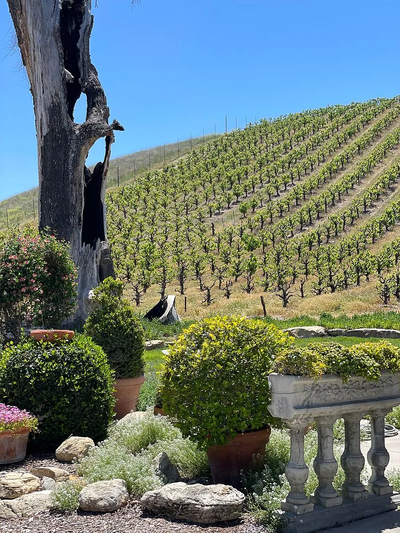 Gorgeous Wine Country 3 Bedroom 2 Bath Single Family Home Available December 2026 — Photo 1