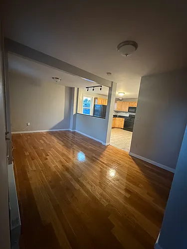 117 Wrentham St #3 Photo 1 117 Wrentham St #3 Photo 1