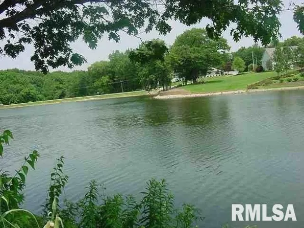 100 Rustic Lake Ct #63, Colona, IL 61241