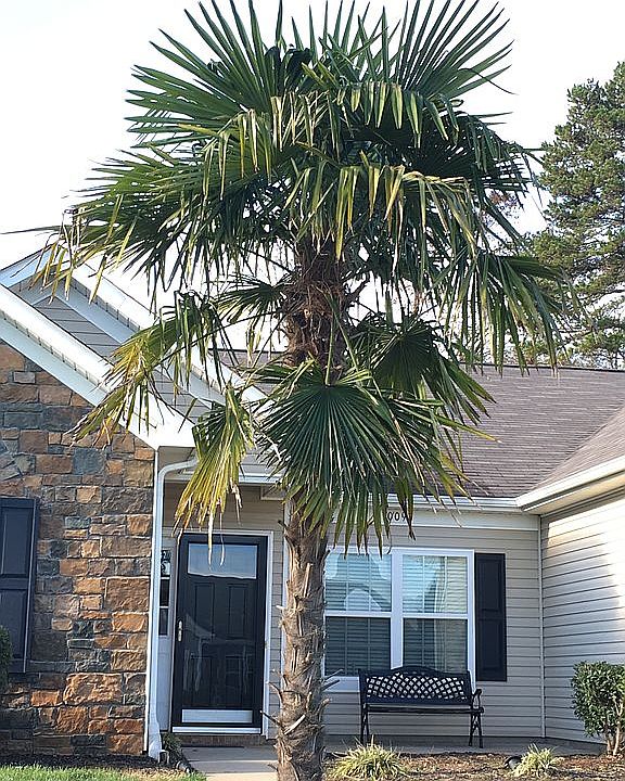 2nd image of 10092 Highland Creek Cir
