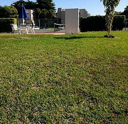3rd image of 9351 Lime Bay Blvd APT 202