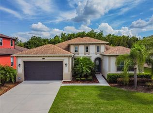 28700 Tavira Ct, Zephyrhills, FL 33543
