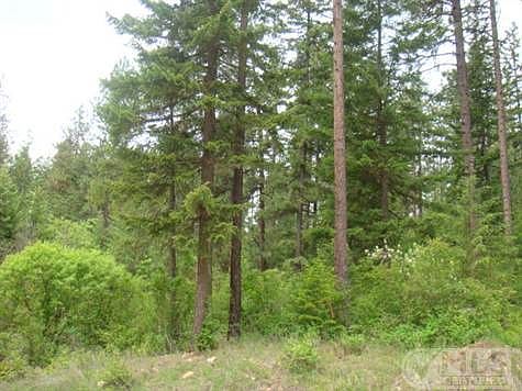 Crumps      June 1 008