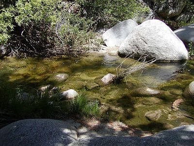 Swimming Hole