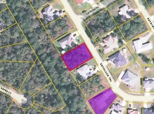 18 Kathleen Trl, Palm Coast, FL 32164
